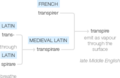 Ety img transpire.png