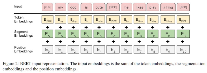 Bert-input.png