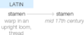 Ety img stamen.png