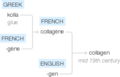 Ety img collagen.png