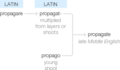 Ety img propagate.png