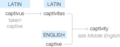 Ety img captivity.png