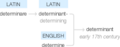 Ety img determinant.png
