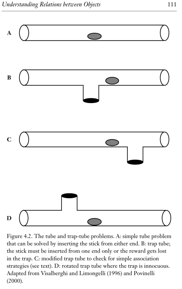 ApesBookFig42.png