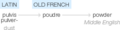 Ety img powdery.png