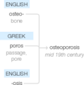 Ety img osteoporosis.png