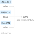 Ety img salvo.png