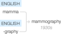 Ety img mammography.png
