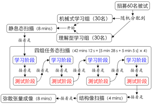 汉字理解型学习研究-实验流程图.png