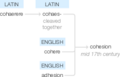 Ety img cohesion.png