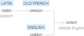 Ety img orison.png